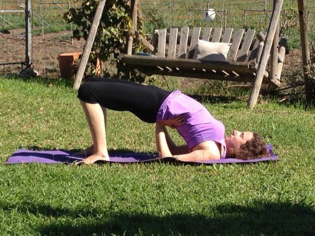 הדרכה אישית בעולש או בסקייפ